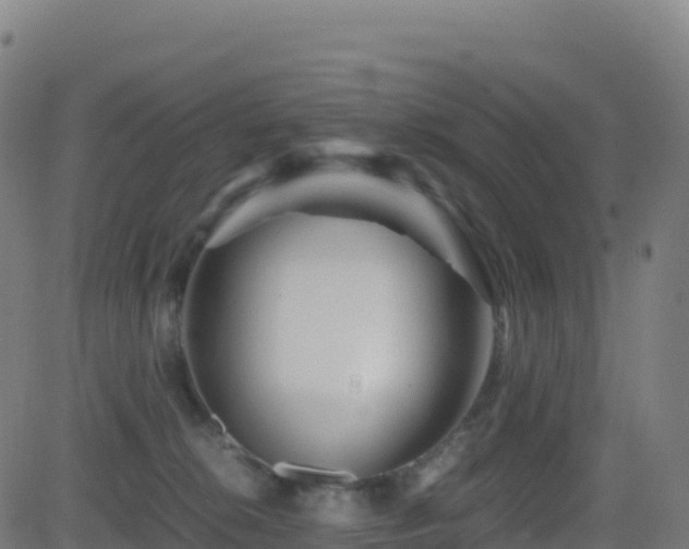 X0000081490276200701121518