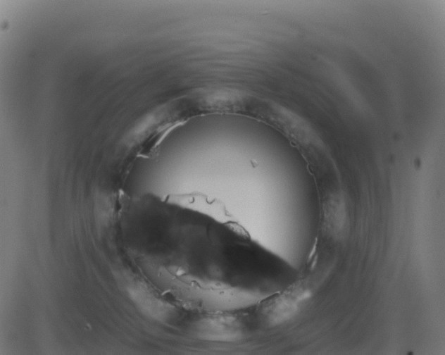 X0000081490278200701121518