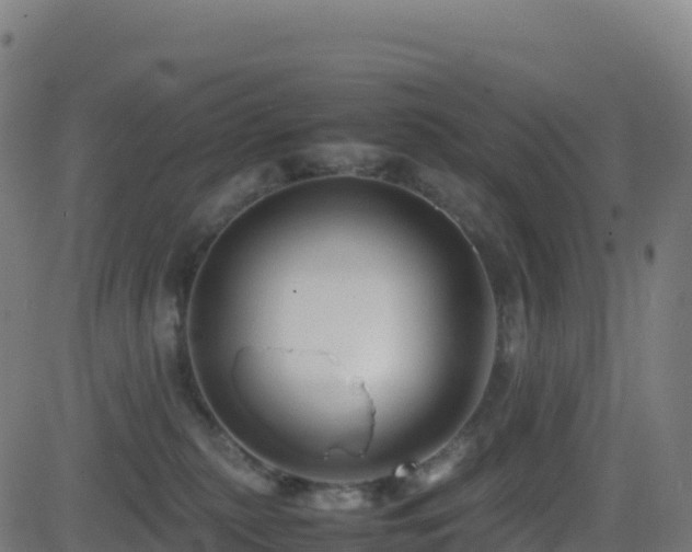 X0000081490279200701121518