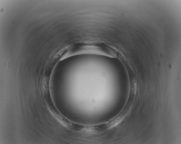 X0000081490280200701121518