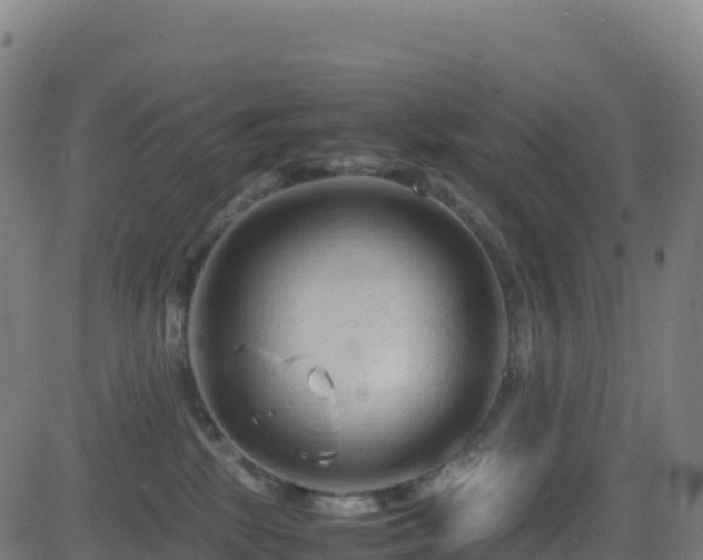 X0000081490281200701121518