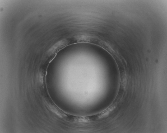 X0000081490282200701121518