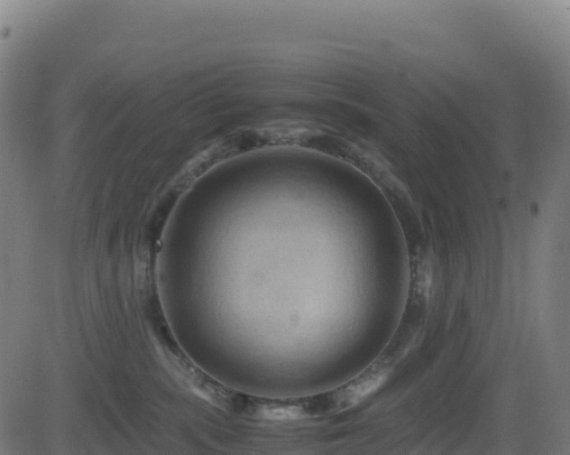 X0000081490283200701121518