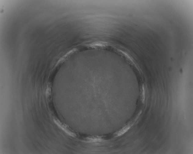 X0000081490284200701121518