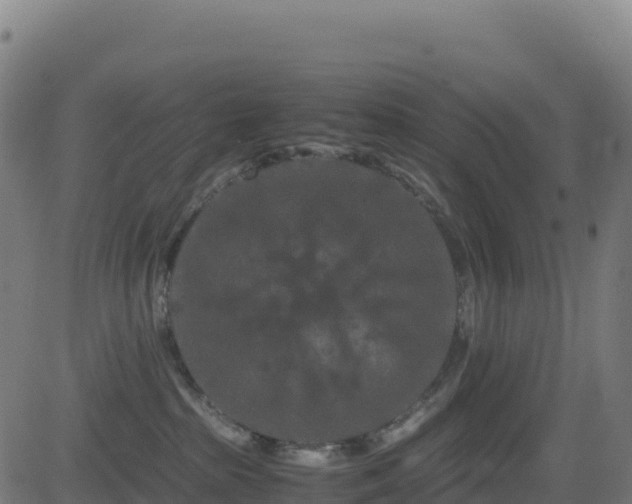 X0000081490285200701121518