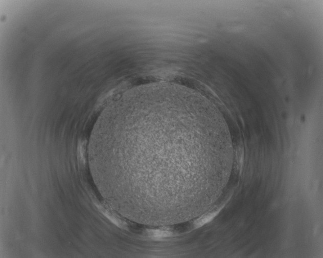 X0000081490286200701121518