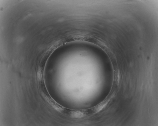 X0000081490287200701121518