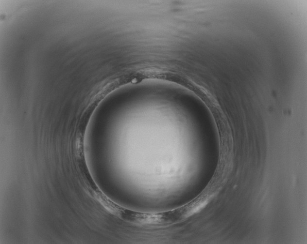 X0000081490288200701121518