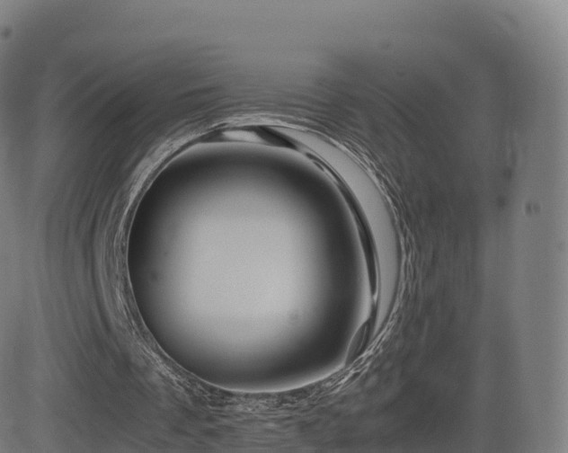 X0000081490289200701121517