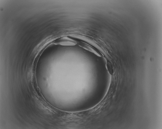 X0000081490290200701121517