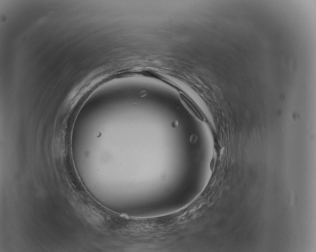 X0000081490291200701121517