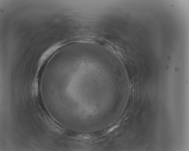 X0000081490294200701121517