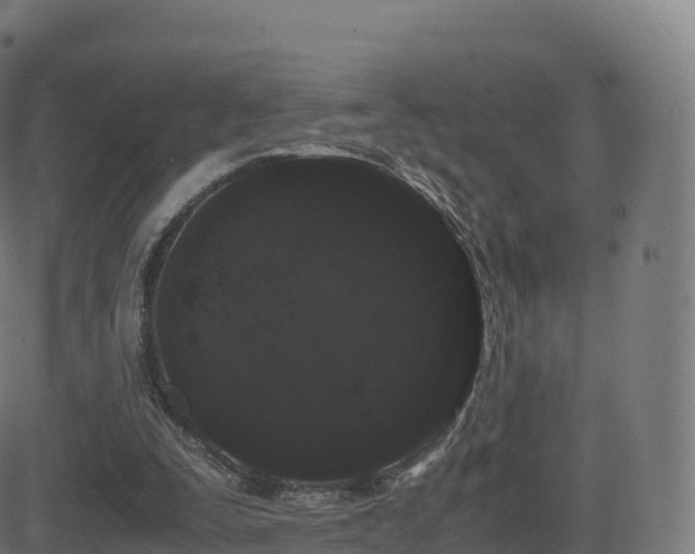 X0000081490295200701121517