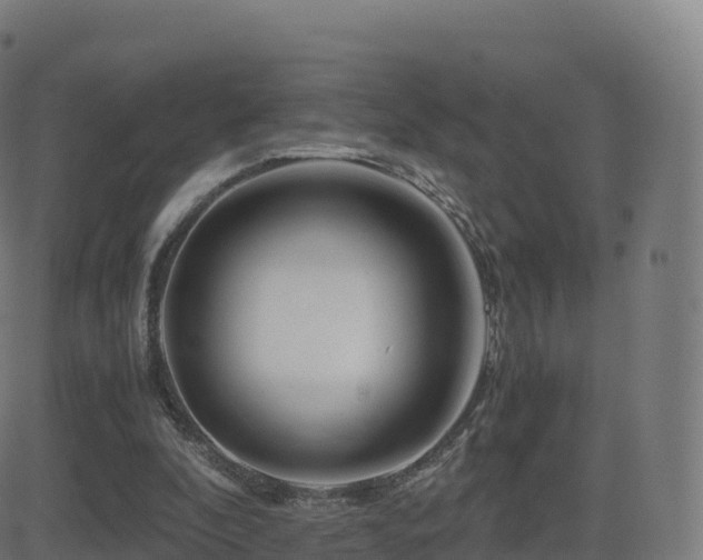 X0000081490296200701121517