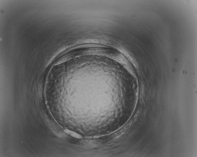 X0000081490297200701121517