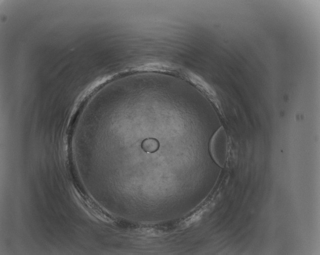 X0000081490298200701121517