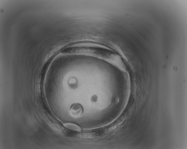 X0000081490299200701121517