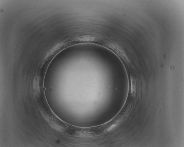 X0000081490300200701121517