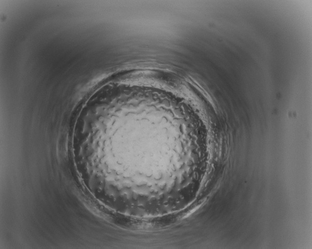 X0000081490301200701121517