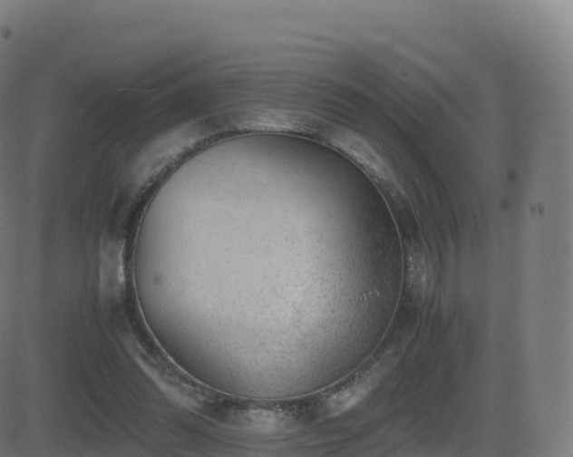 X0000081490302200701121517