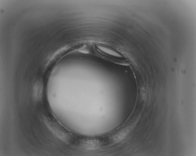 X0000081490304200701121517