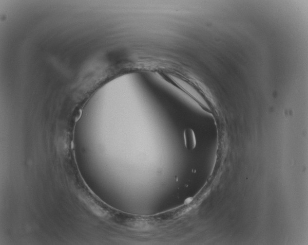 X0000081490305200701121517