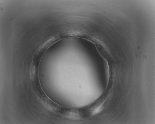 X0000081490308200701121517