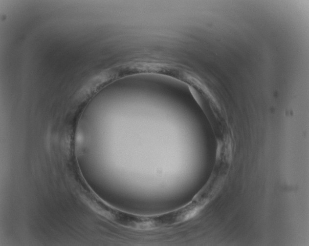 X0000081490309200701121517