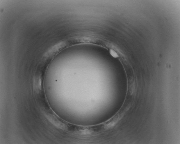 X0000081490310200701121517