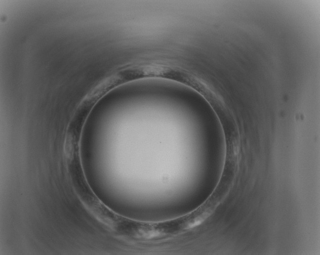 X0000081490311200701121517