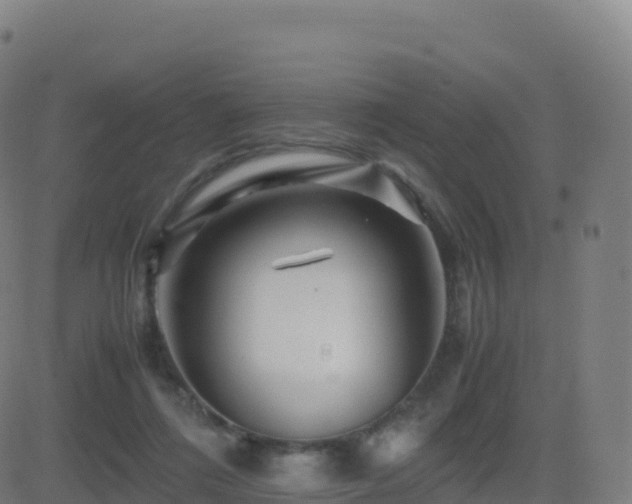 X0000081490312200701121517