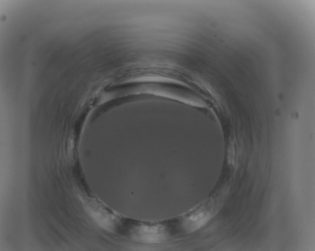 X0000081490314200701121517