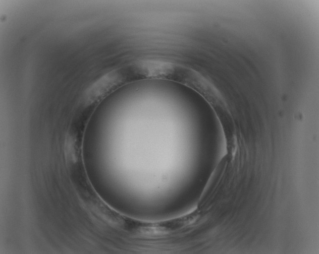 X0000081490316200701121517