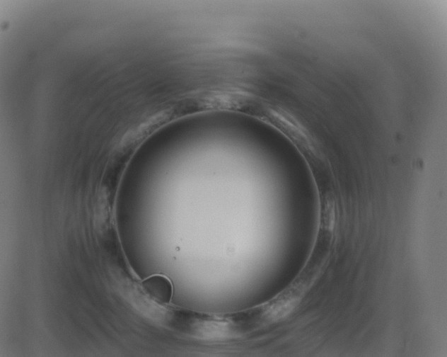 X0000081490318200701121516