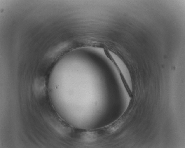 X0000081490320200701121516