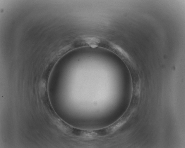 X0000081490321200701121516