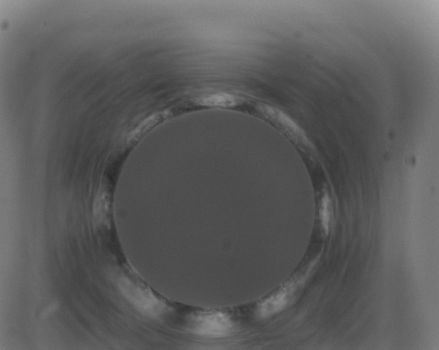 X0000081490322200701121516