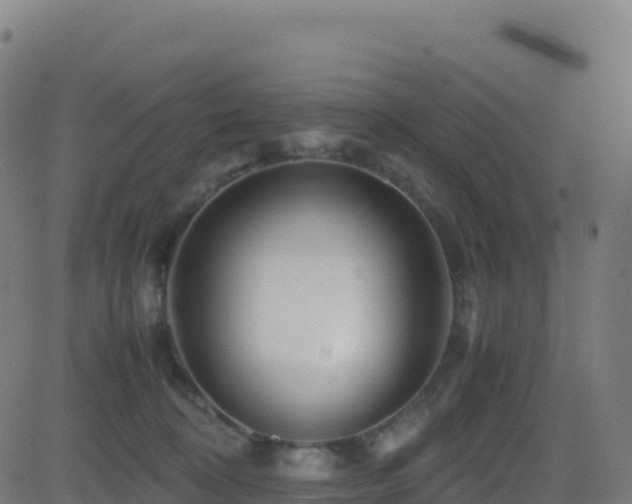 X0000081490324200701121516