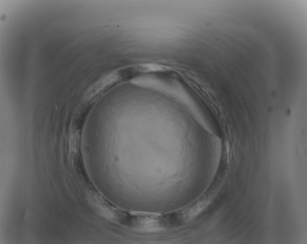 X0000081490325200701121516