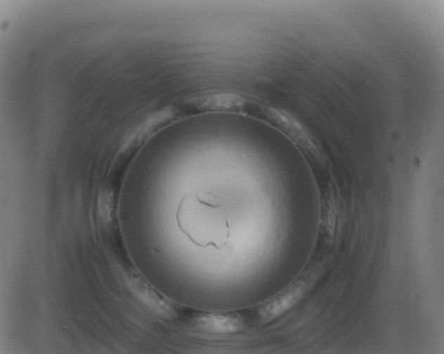 X0000081490326200701121516