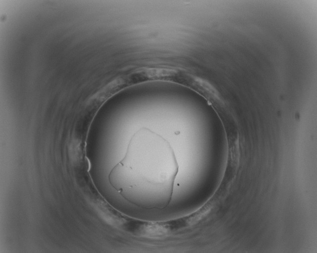 X0000081490327200701121516