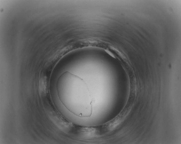 X0000081490328200701121516