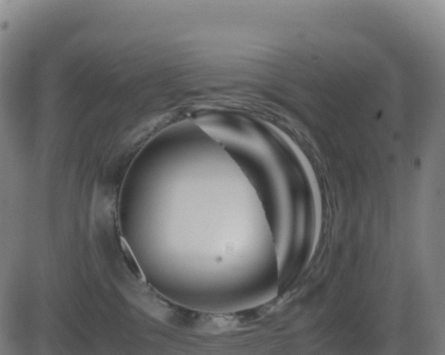 X0000081490329200701121516