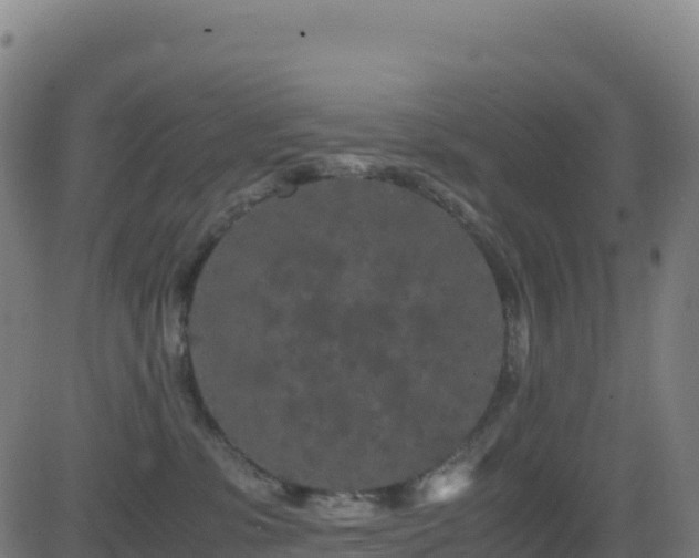 X0000081490331200701121516