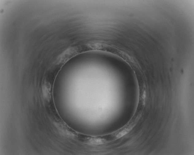 X0000081490332200701121516