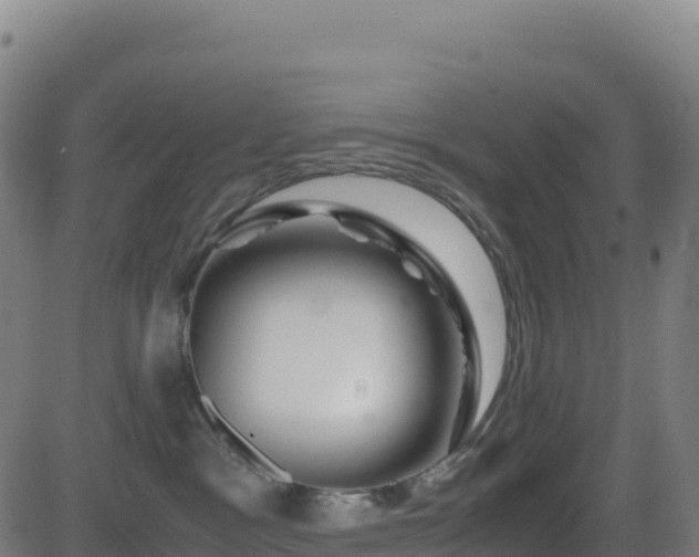 X0000081490333200701121516