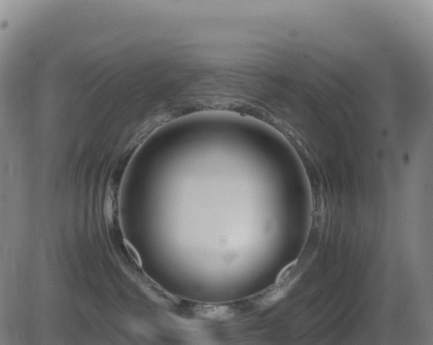 X0000081490334200701121516