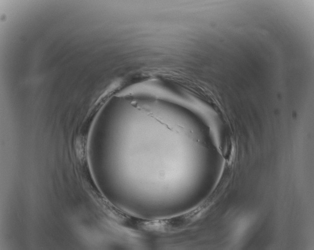 X0000081490335200701121516