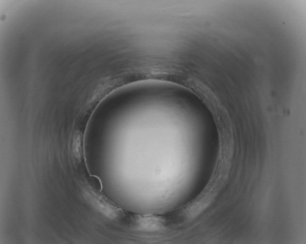 X0000081490336200701121516