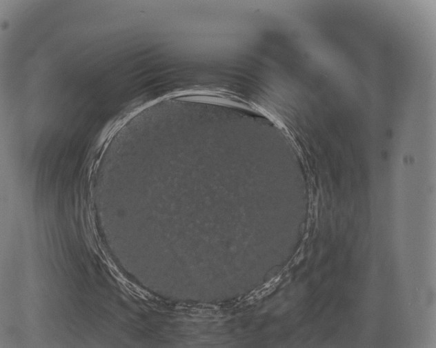 X0000081490337200701121515